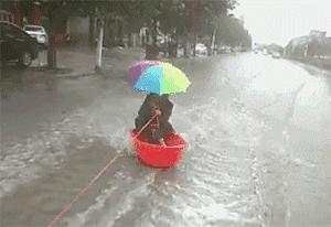 千年冀土，京津冀明珠，探寻河北的历史魅力