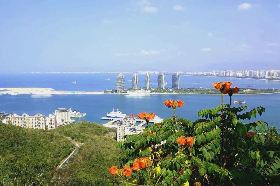 海南热带风情，无限商机等你来探索